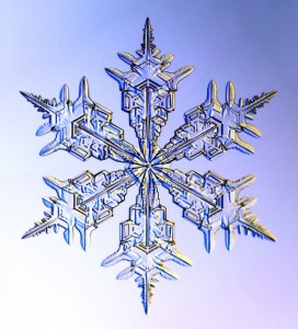 Blue and white ice crystal snowflake